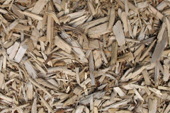 biomass boilers Monymusk